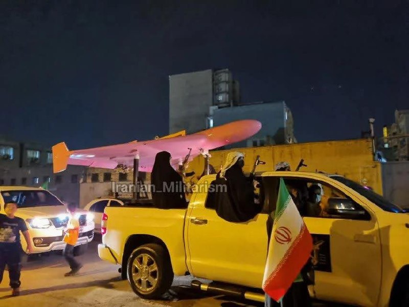 Сатира: вооруженные защитницы Тегерана и розовый Шахед