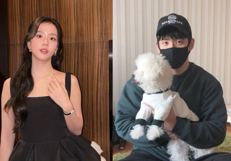 Брата Джису из BLACKPINK обвинили в сексуальном насилии