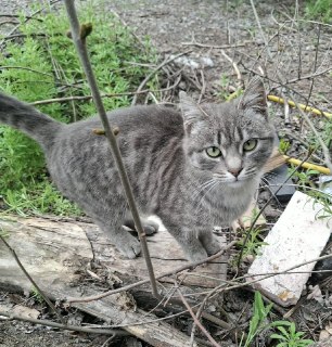 В Донецке весна: природа оживает, несмотря на войну