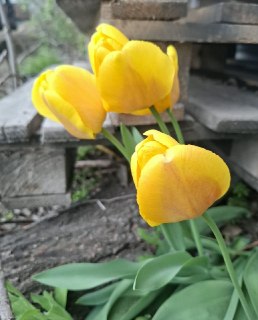 Иллюстрация 2