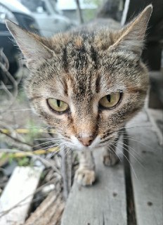 Иллюстрация 3