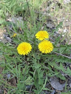 Иллюстрация 4