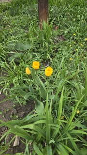 Иллюстрация 5