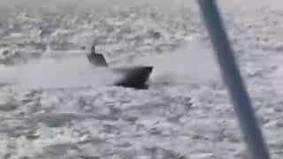 Западные разработки морских беспилотников в руках Киева