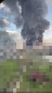 Иллюстрация 2