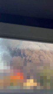 Иллюстрация 5