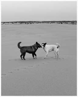 Иллюстрация 9