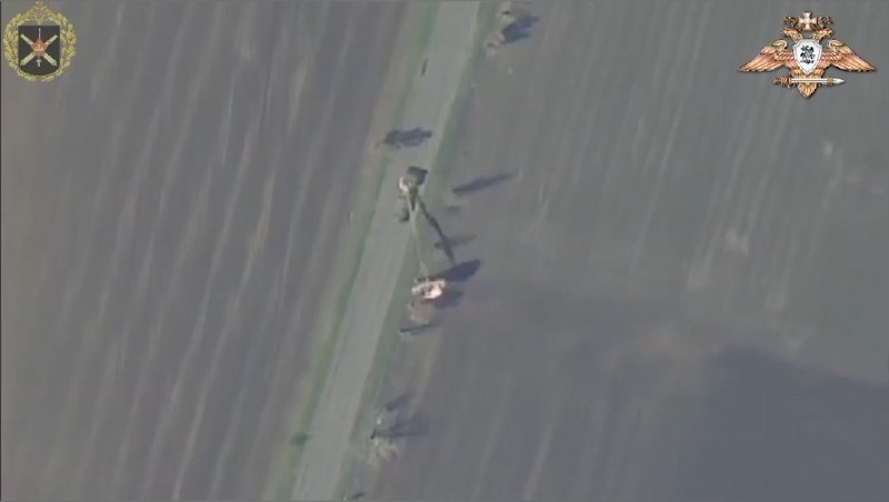 Иллюстрация 2