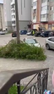 Иллюстрация 2