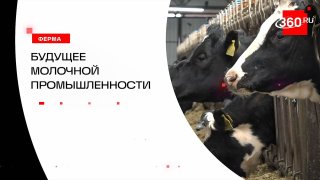 ИИ и умные ошейники на ферме под Сергиевым Посадом