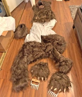 Банда «медвежатников» в Калифорнии приговорена к 6 месяцам за мошенничество со страховкой