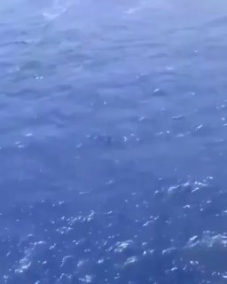 Немецкий вертолёт заснял южнокорейскую подлодку на учениях