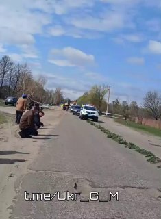 Иллюстрация 1