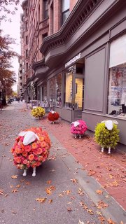 «Цветочные овечки» замечены у магазина в Нью-Йорке