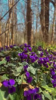 Фронтовые сводки: удары ВСУ по своим, FPV-дрон и взрыв школы