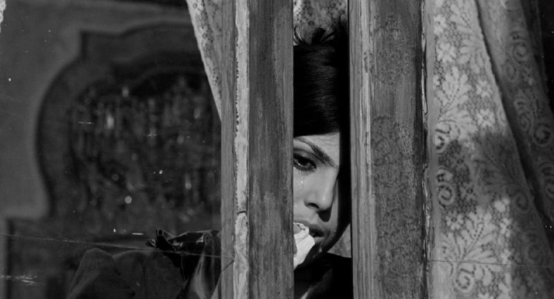 Иллюстрация 7