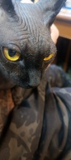 Доброе утро от Мракоборцев: пожелание удачи бойцам и ссылки на каналы