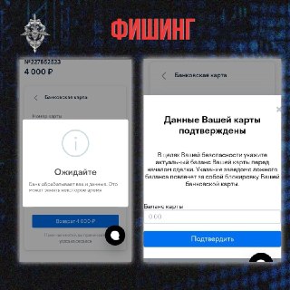 МВД предупредило о фишинговых формах для кражи денег с карт