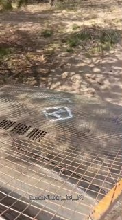 Иллюстрация 3