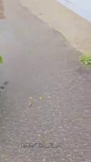 Иллюстрация 3