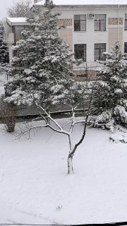 Иллюстрация 1