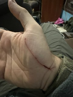 Иллюстрация 2