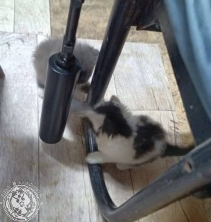 Иллюстрация 3