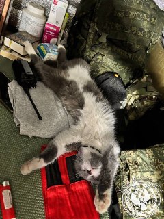 Иллюстрация 4