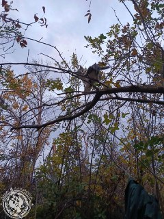 Иллюстрация 5