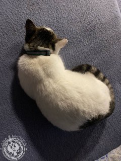 Иллюстрация 6