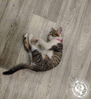 Иллюстрация 7