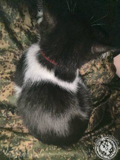 Иллюстрация 8