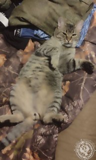 Иллюстрация 9