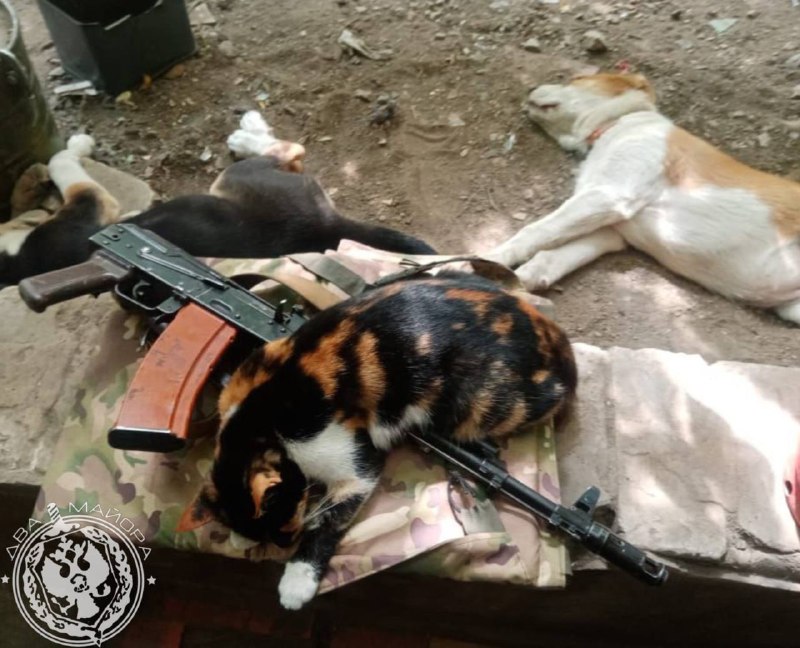 Иллюстрация 10