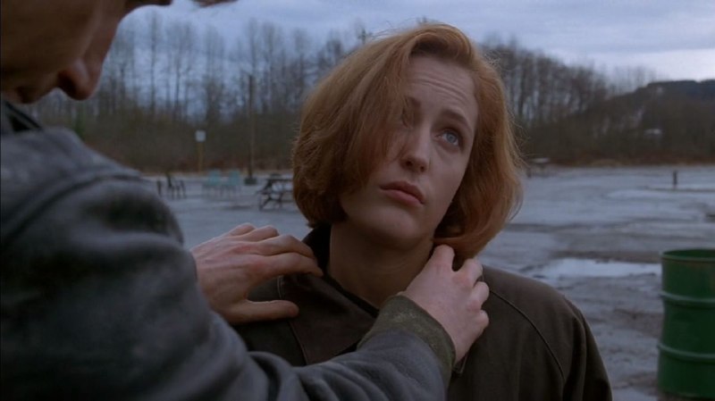 Иллюстрация 1