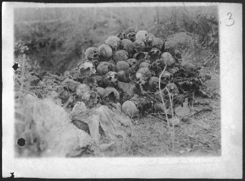 Иллюстрация 5