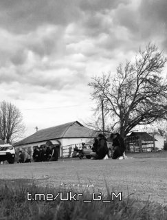 Иллюстрация 1