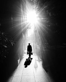 Цитата из романа «Леопард» в авторском канале Олега Царёва