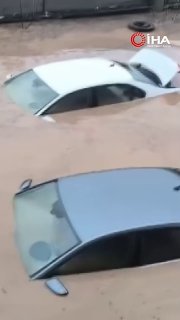 Иллюстрация 1