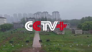 Критика китайского союза: военная тупиковость и экономические потери России