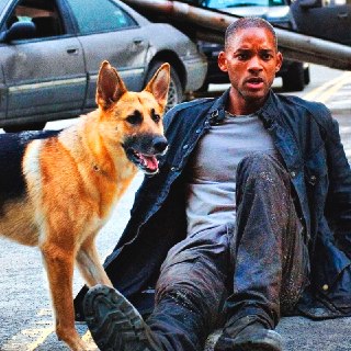 Иллюстрация 2