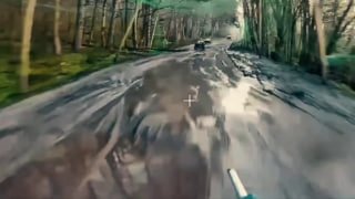 Сетки от комаров не спасают