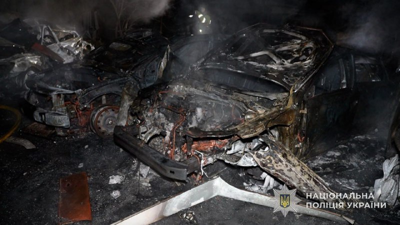 Иллюстрация 1