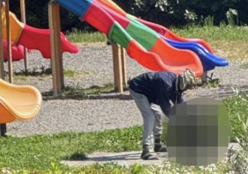 В Италии мужчина убил кошку и попытался приготовить её в парке