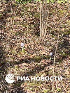 Иллюстрация 4