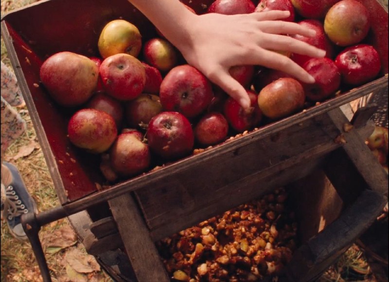 Рекомендация к просмотру: фильм «Сад» (1995) о поиске уюта в деревне