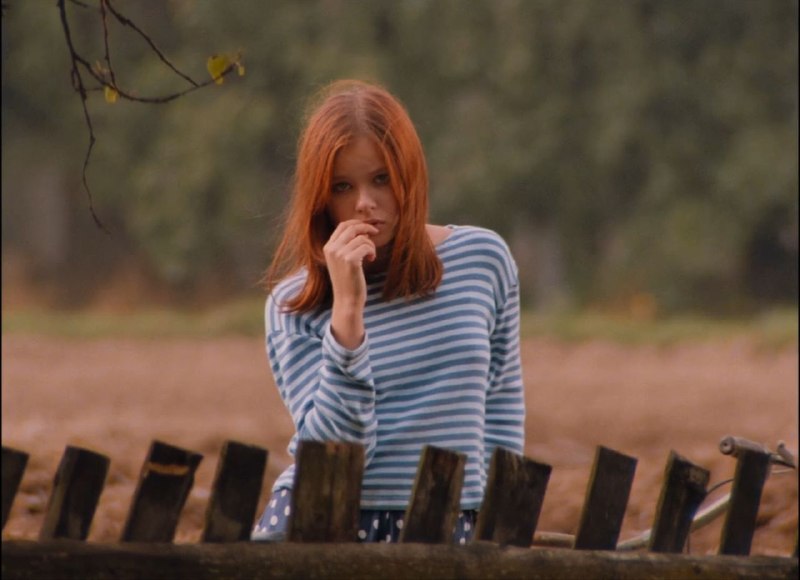 Иллюстрация 3