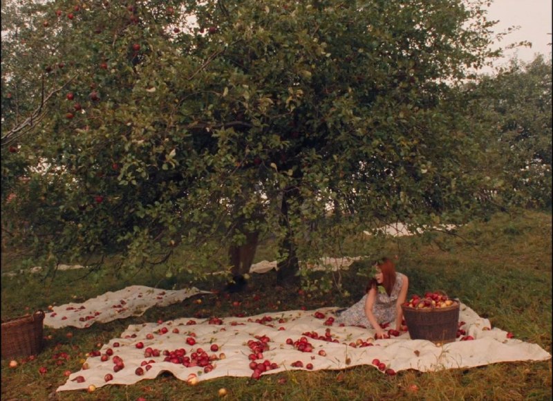 Иллюстрация 5