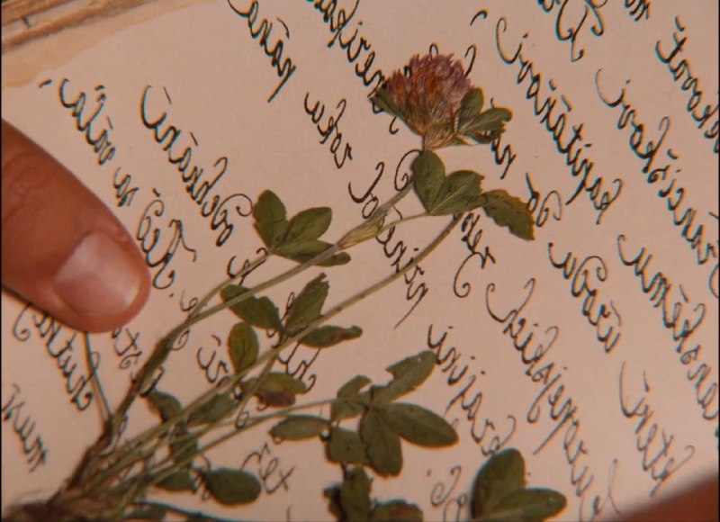 Иллюстрация 6