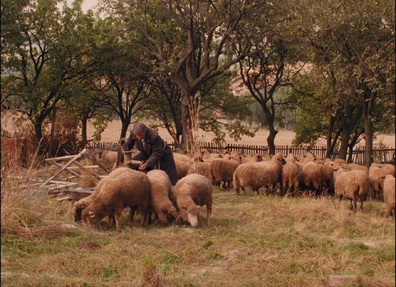 Иллюстрация 7